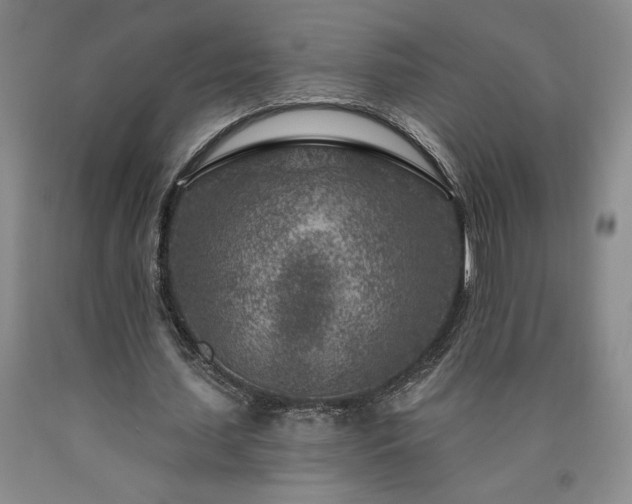 X0000090870627200707271251