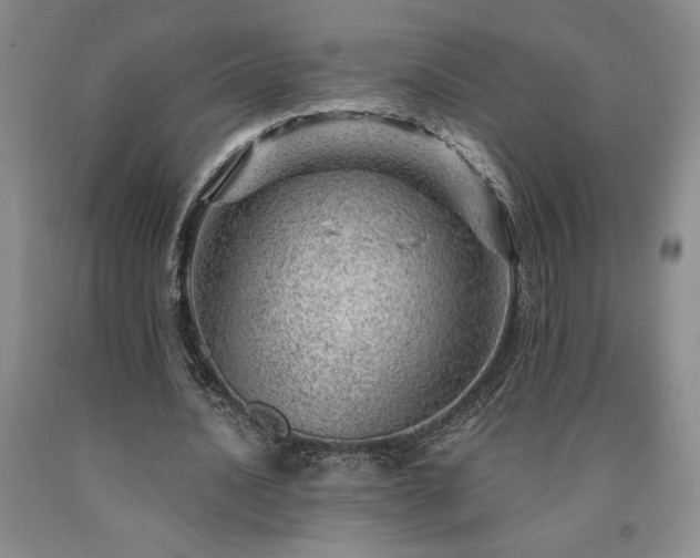 X0000090870628200707271251