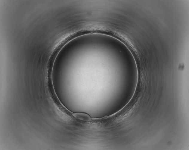 X0000090870629200707271251