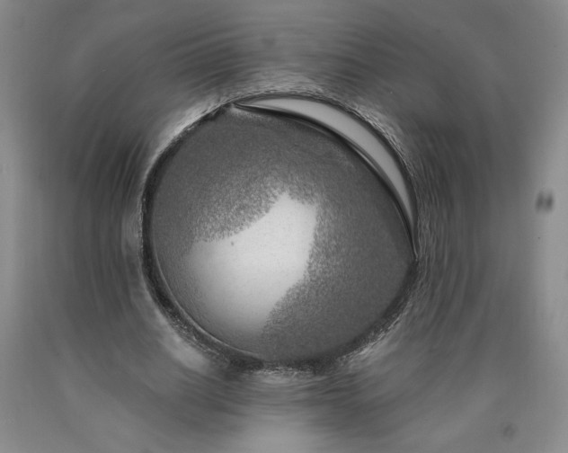 X0000090870630200707271251