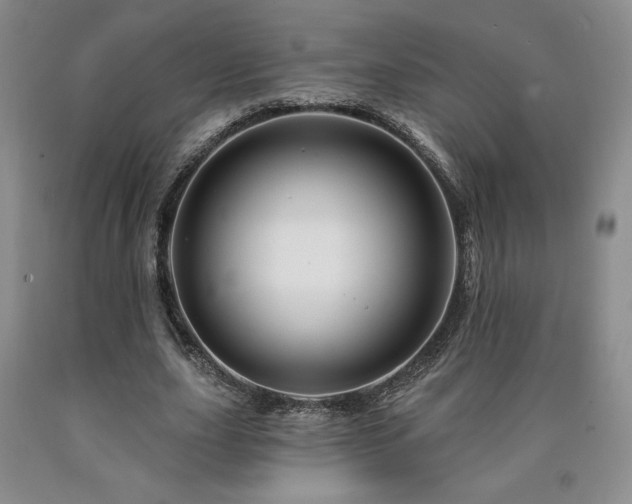 X0000090870631200707271251