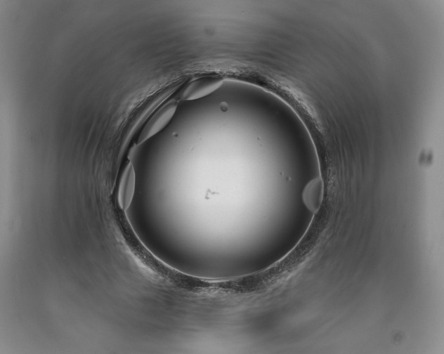 X0000090870633200707271251