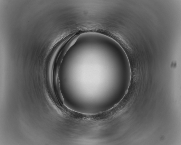 X0000090870634200707271251