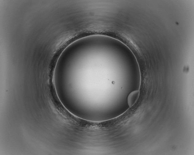 X0000090870635200707271251