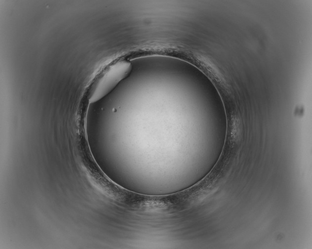 X0000090870636200707271251