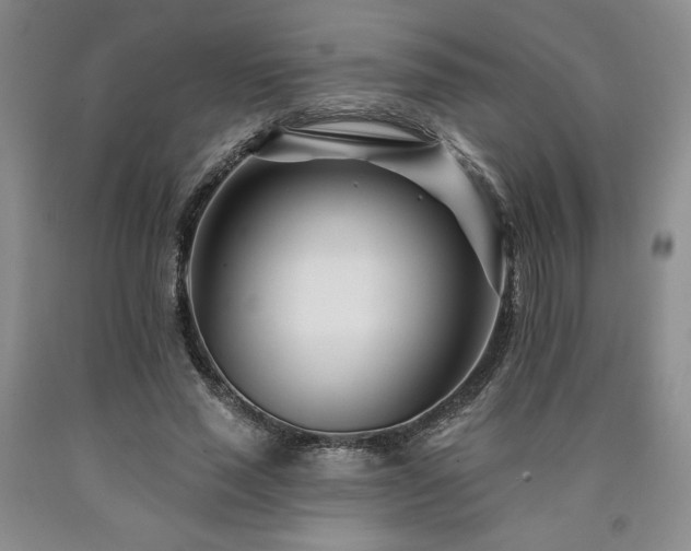 X0000090870637200707271251