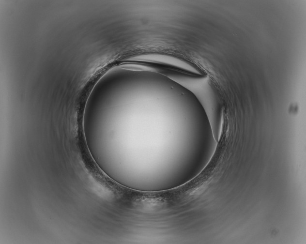 X0000090870638200707271251