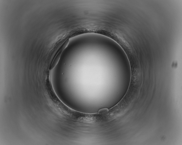 X0000090870639200707271251