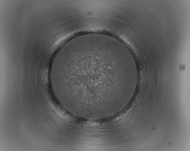 X0000090870640200707271251