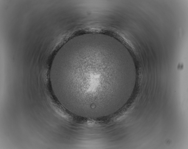 X0000090870641200707271251