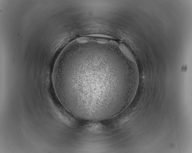 X0000090870642200707271251