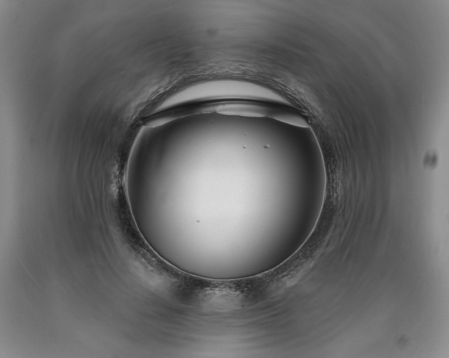 X0000090870644200707271251