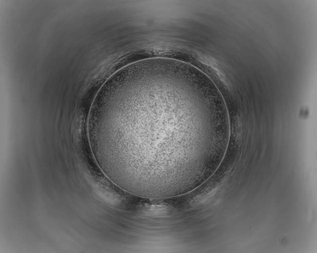 X0000090870645200707271251