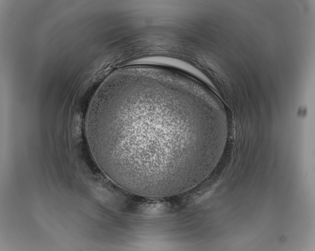 X0000090870646200707271251