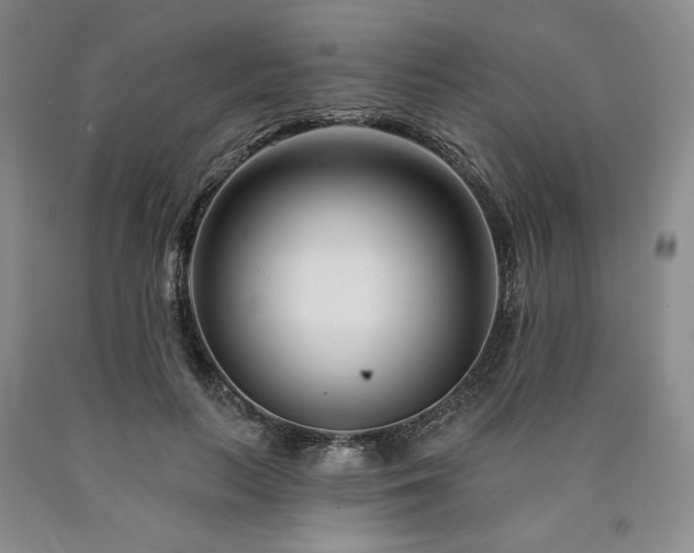 X0000090870647200707271251