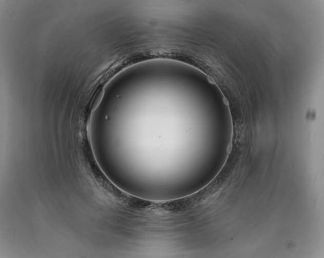 X0000090870648200707271251