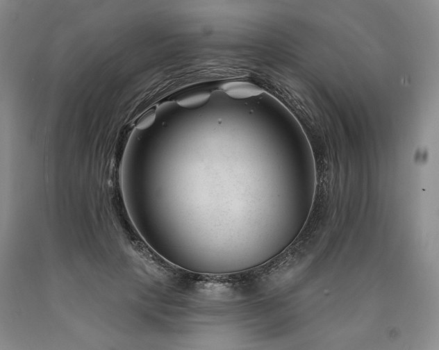 X0000090870649200707271251