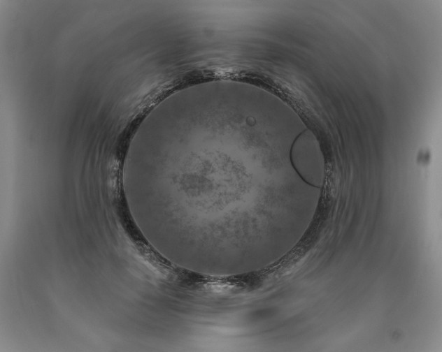 X0000090870650200707271251