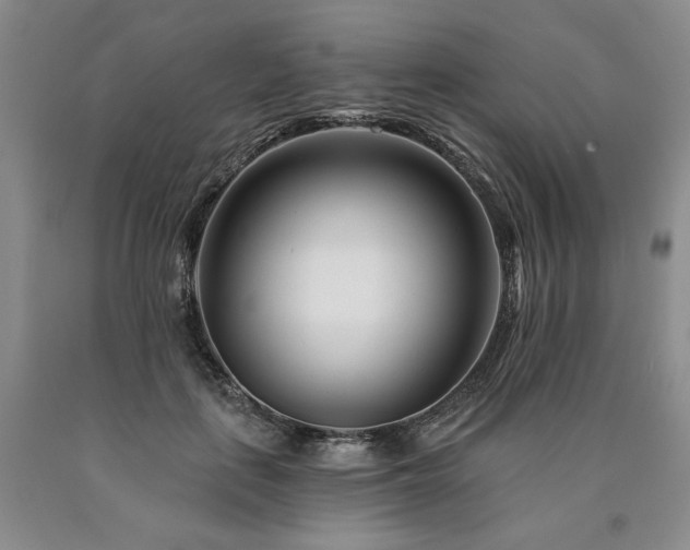 X0000090870651200707271251