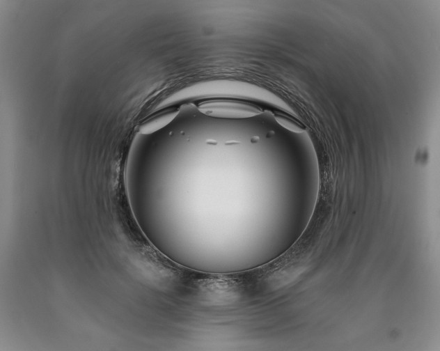 X0000090870652200707271251