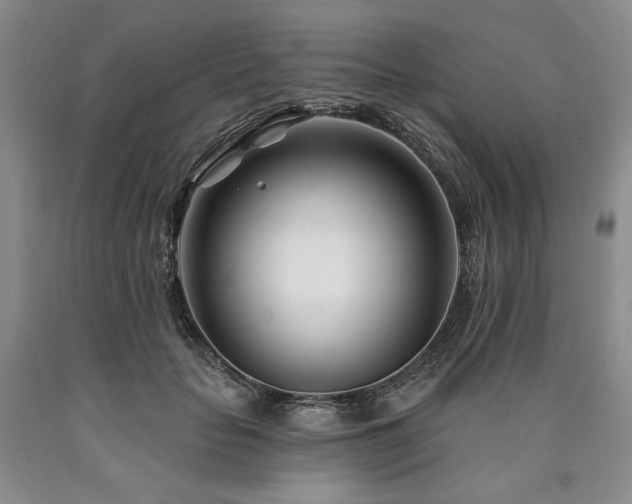 X0000090870653200707271251