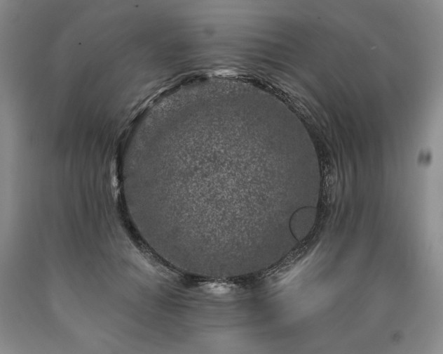 X0000090870654200707271251