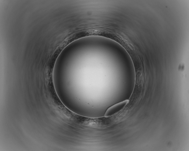 X0000090870655200707271251