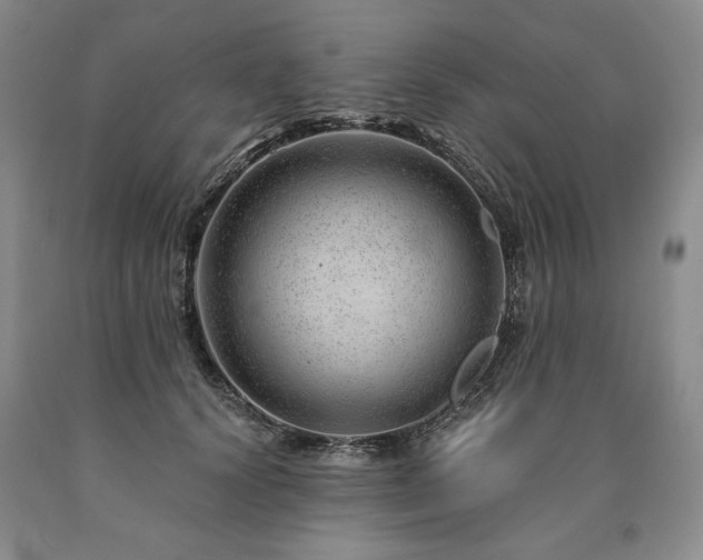 X0000090870656200707271251