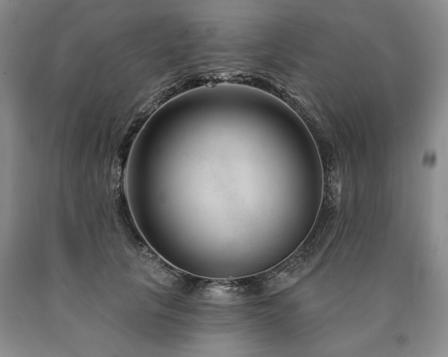 X0000090870657200707271251