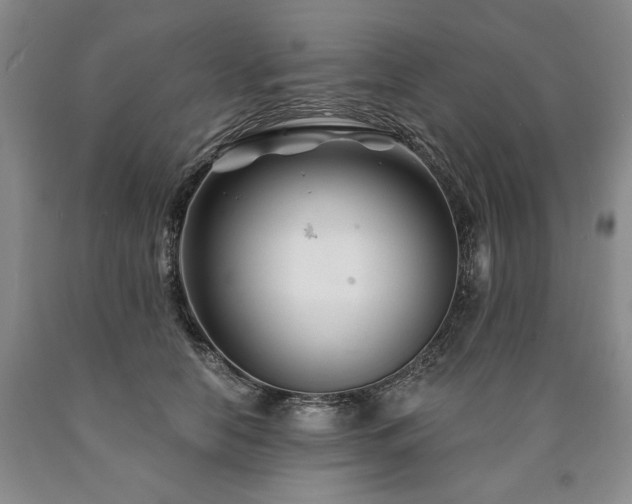 X0000090870658200707271251