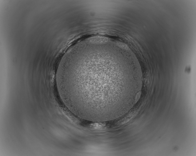 X0000090870660200707271251