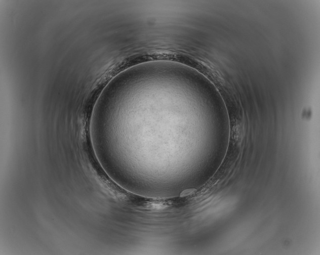 X0000090870662200707271251