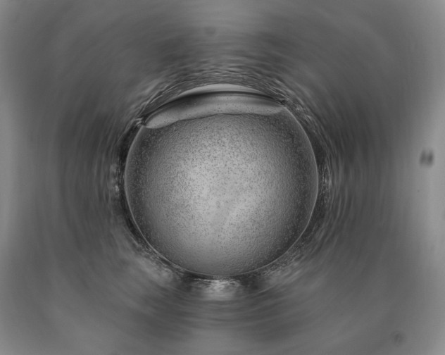 X0000090870663200707271251