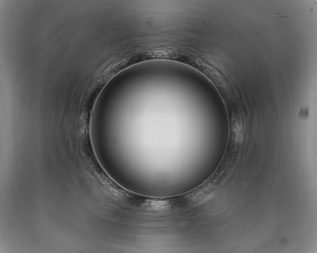 X0000090870665200707271251