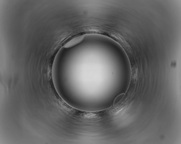 X0000090870669200707271252