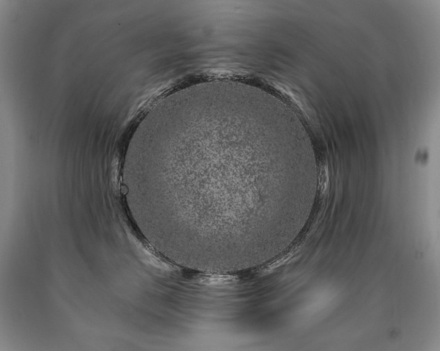 X0000090870670200707271252