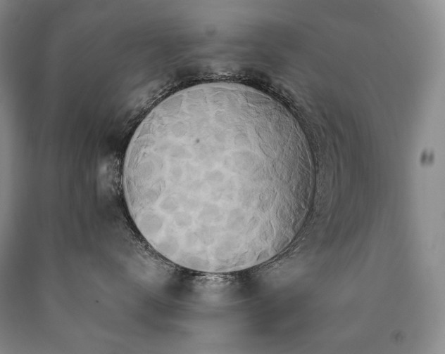 X0000090870672200707271252