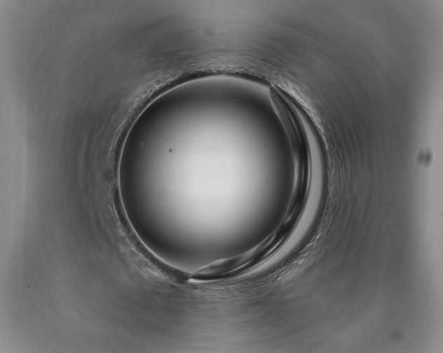 X0000090870673200707271251