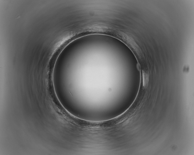 X0000090870675200707271251