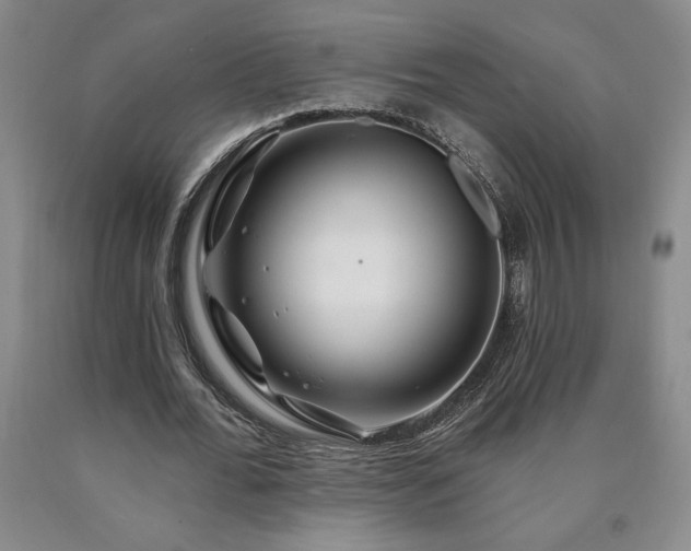 X0000090870676200707271251