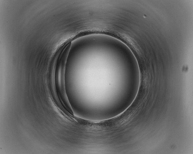 X0000090870677200707271251