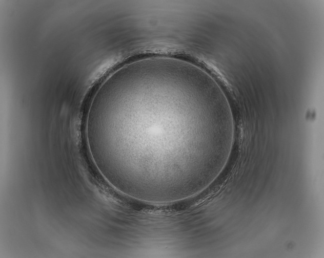 X0000090870679200707271251