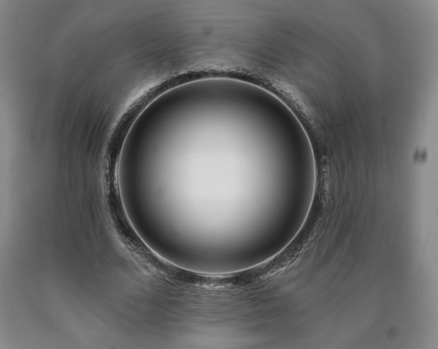 X0000090870680200707271251