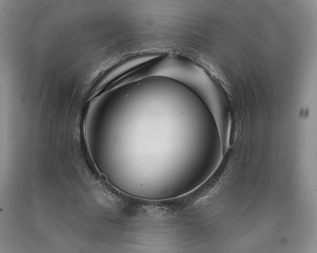 X0000090870681200707271251