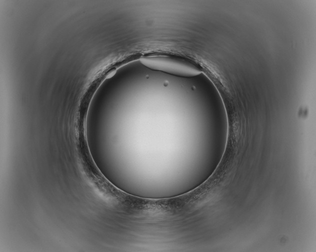 X0000090870682200707271251