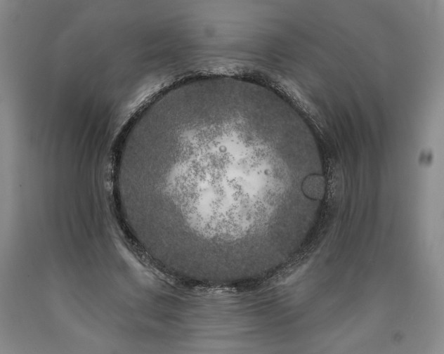 X0000090870683200707271250