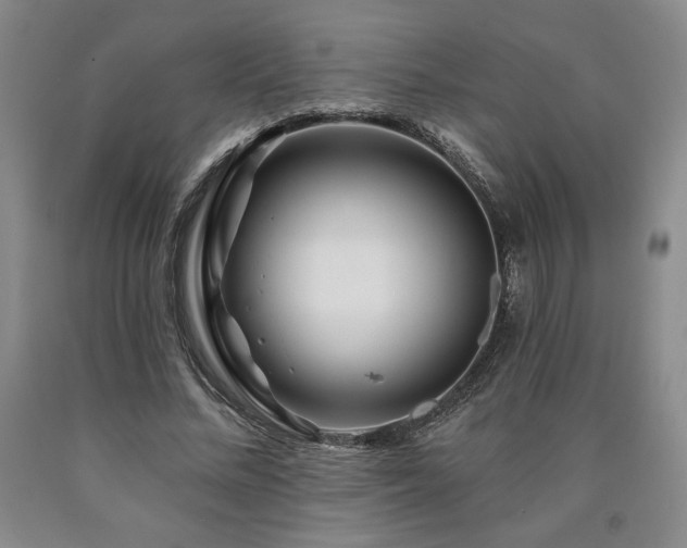 X0000090870684200707271250