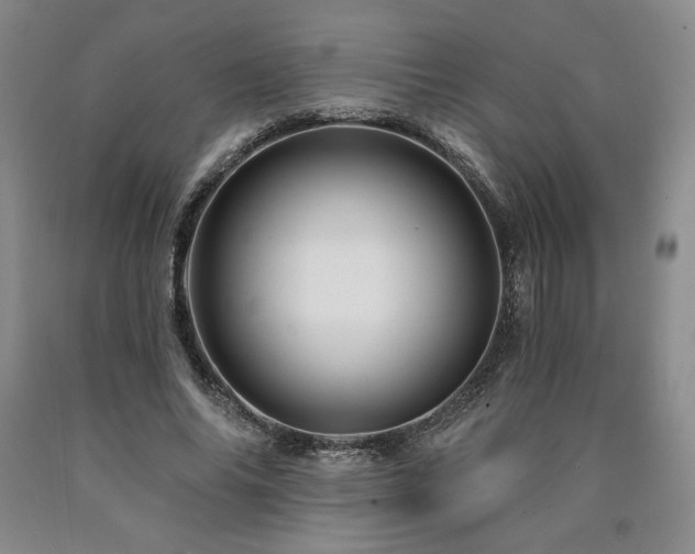 X0000090870686200707271250