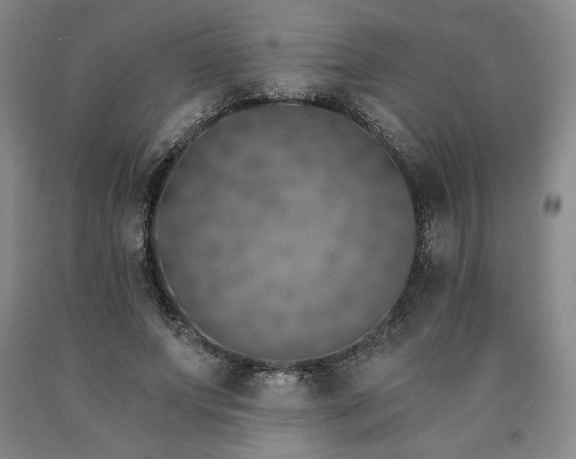 X0000090870687200707271250