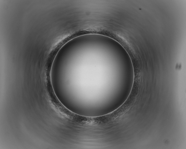 X0000090870688200707271250